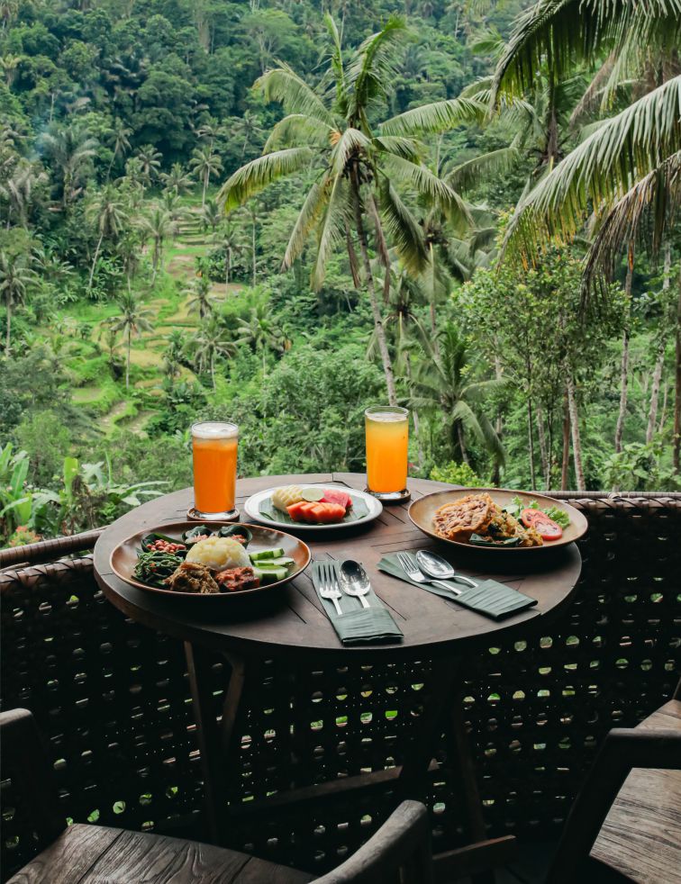 Special Lunch & Jungle Swing