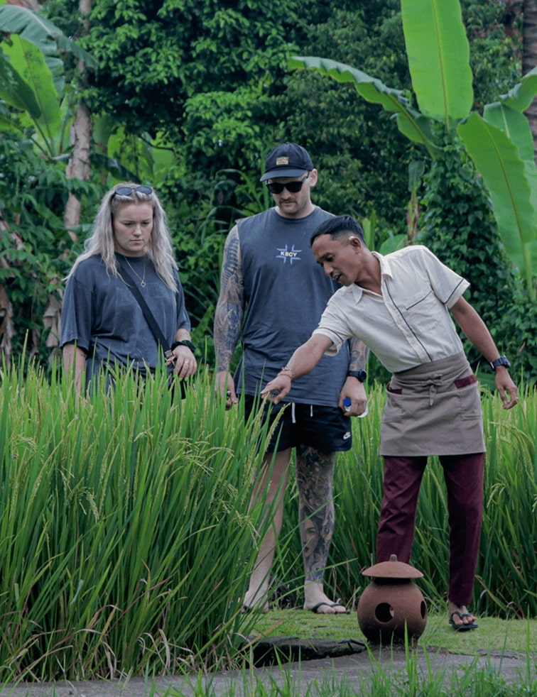 Rice Fields: The Heart of Balinese Agriculture