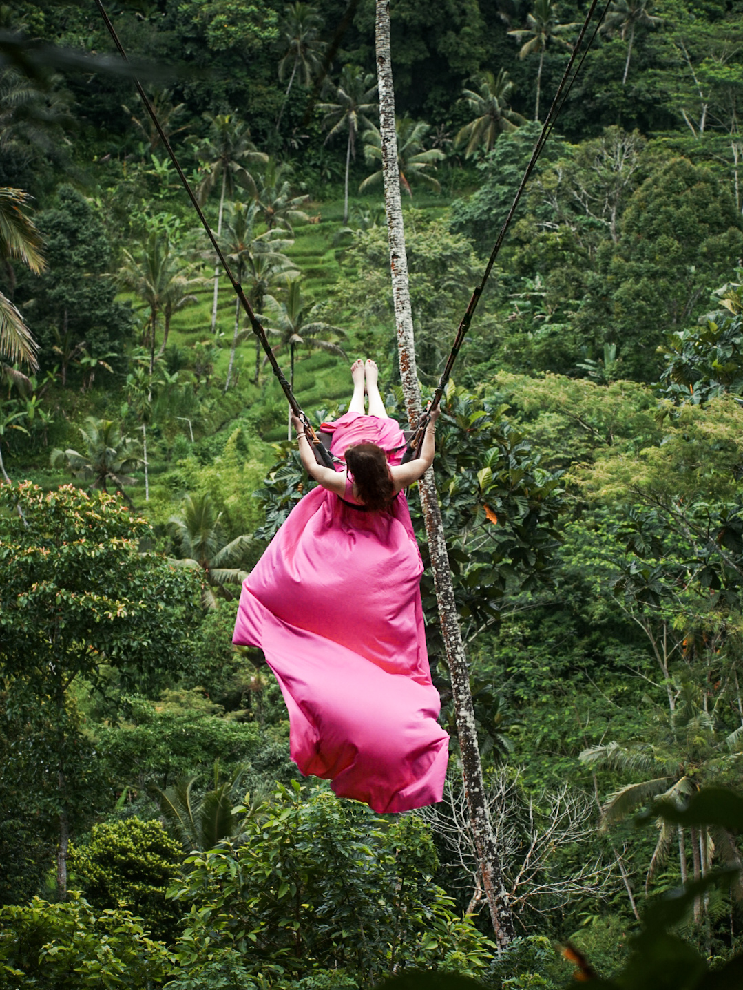 Special Lunch & Jungle Swing